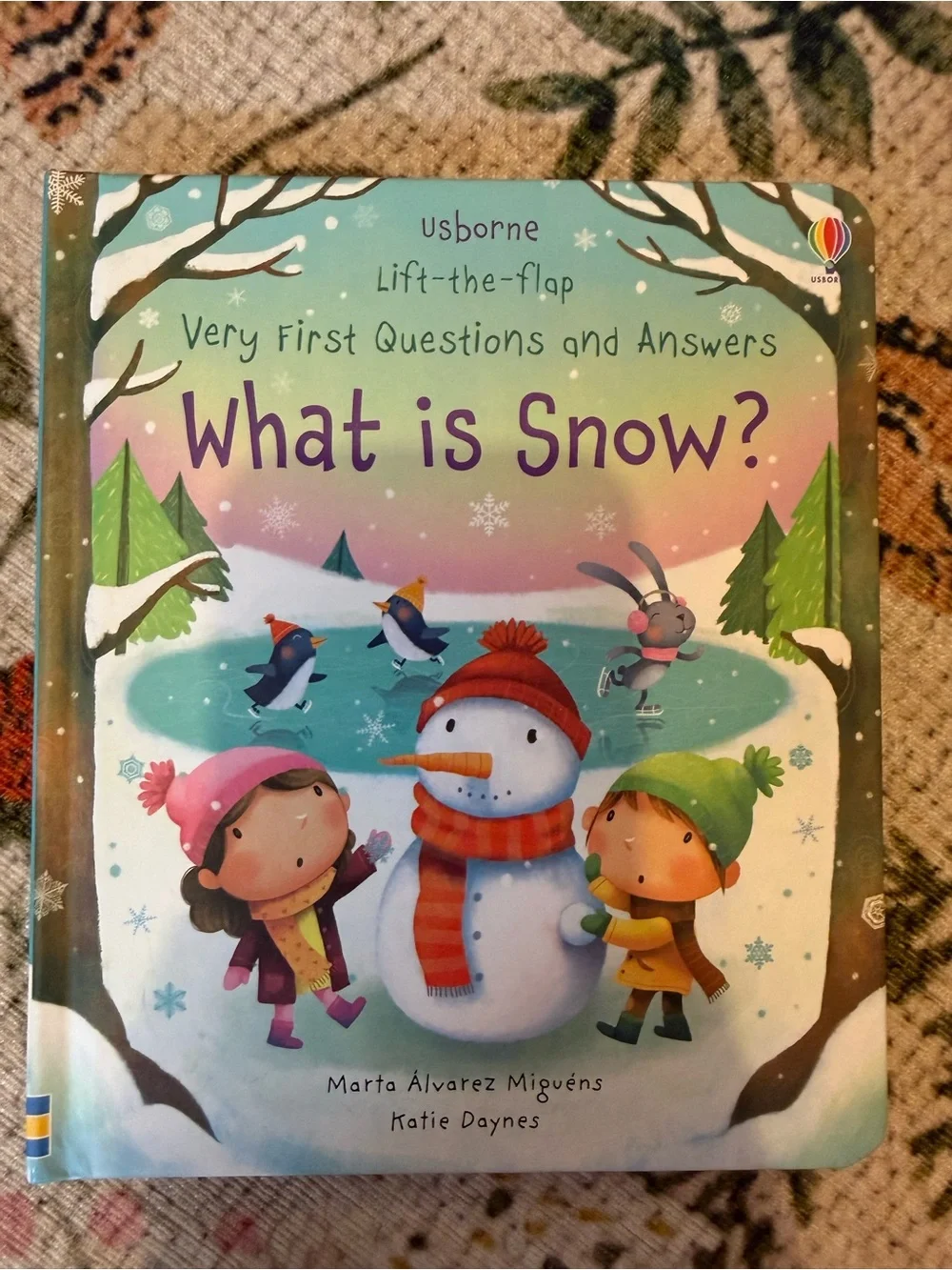 Usbourne What is Snow Board Book